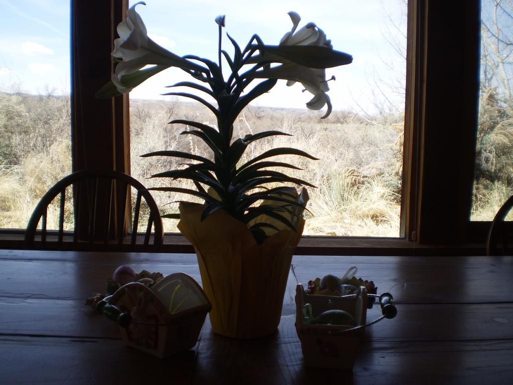 Silver River Adobe Inn Bed And Breakfast Фармингтън Екстериор снимка