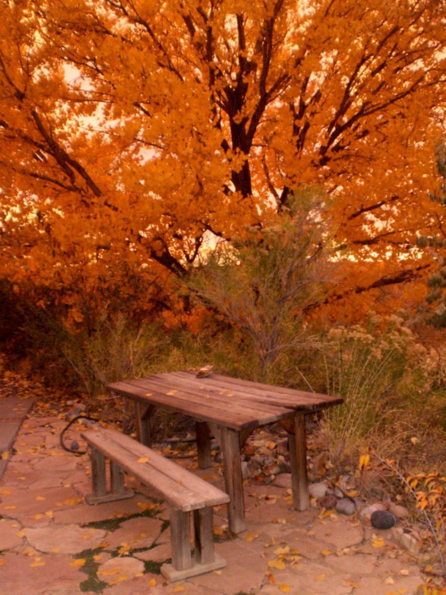Silver River Adobe Inn Bed And Breakfast Фармингтън Екстериор снимка