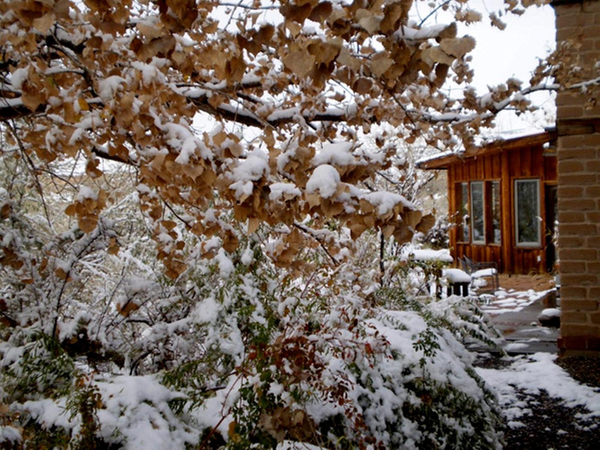 Silver River Adobe Inn Bed And Breakfast Фармингтън Екстериор снимка